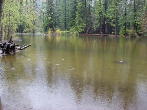 Merced river at Cathedral beach 