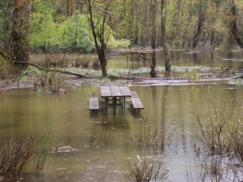 High water from Merced river 