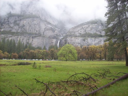 meadow and Yosemite falls 