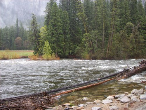 Merced river 