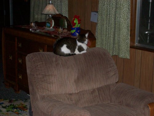 JC on grandma's chair 