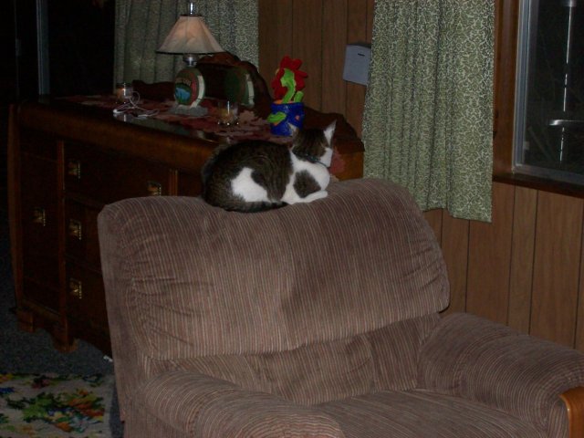 JC on grandma's chair 