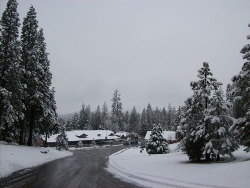 Snow in the village 