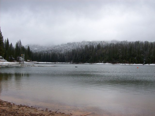 Snow in Willow Cove 