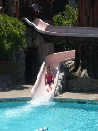 Spring 2010