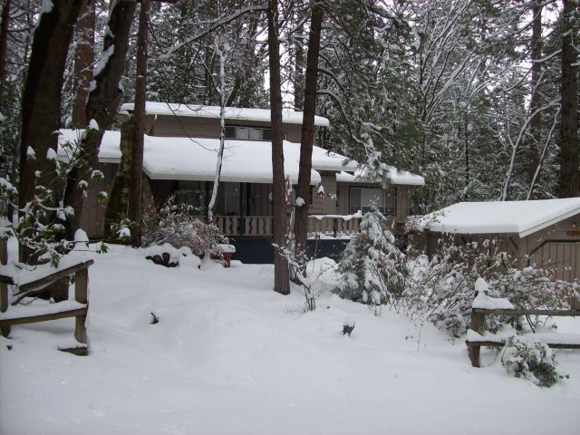 Kim's place covered in snow 