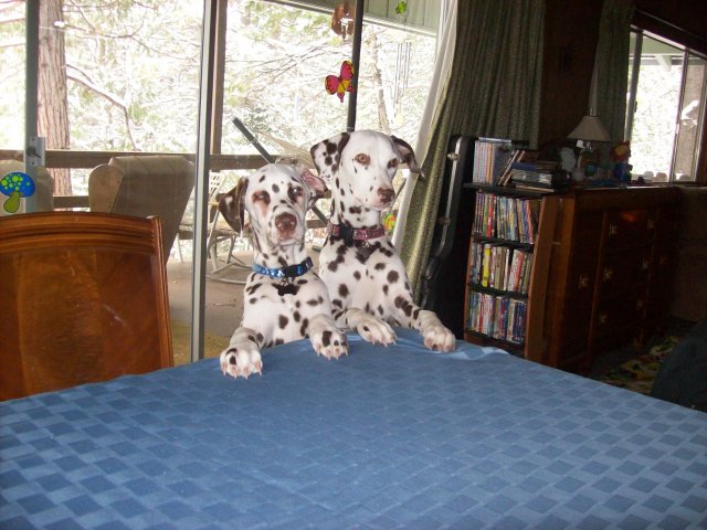 What;s for lunch? 