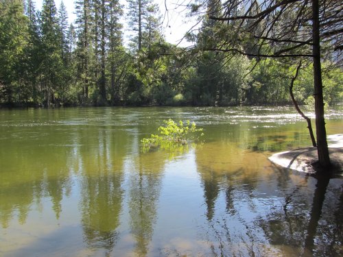 Merced River and flooding 