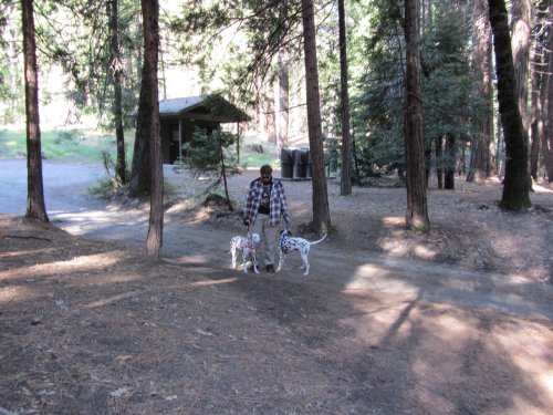 Jonny with Lucky and Dixie 