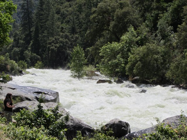 Merced River in El Portal 