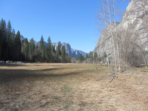 Meadow in Yosemite Valley 