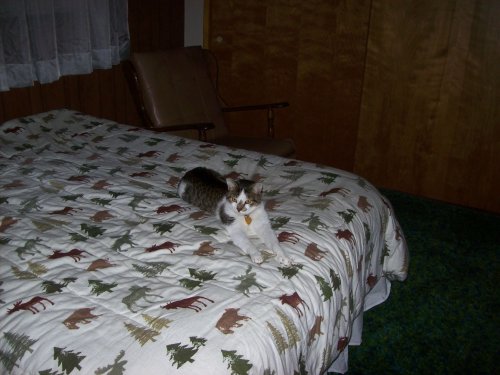 JC on his bed 