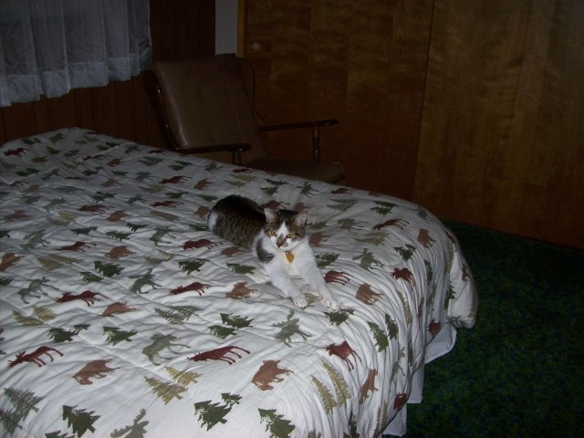 JC on his bed 