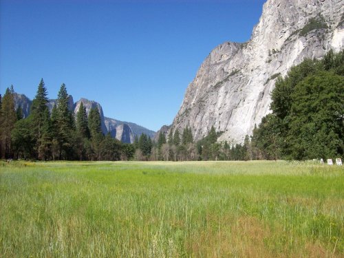 Meadow in Yosemite Valley 
