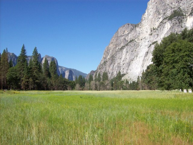 Meadow in Yosemite Valley 