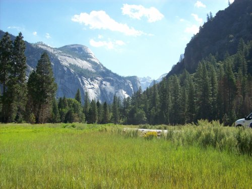 Meadow in Yosemite Valley 