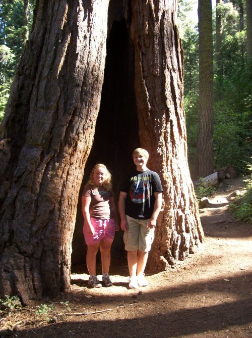 Kids in Nelder Grove 