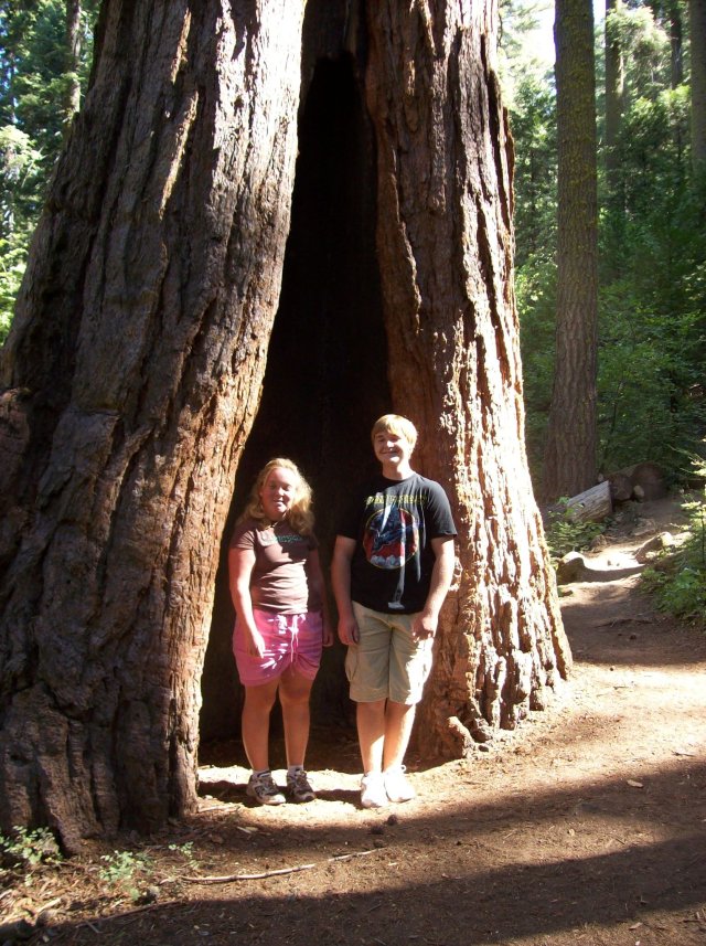 Kids in Nelder Grove 