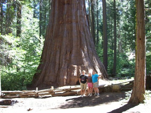 Jonny, Melissa, & Lori at Bull Buck tree 