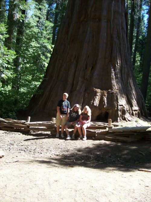Jonny, Jon & Melissa at Bull Buck tree 