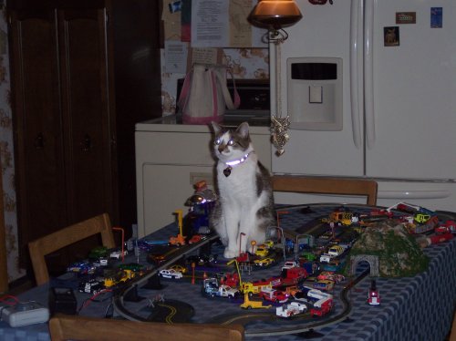 Catzilla 