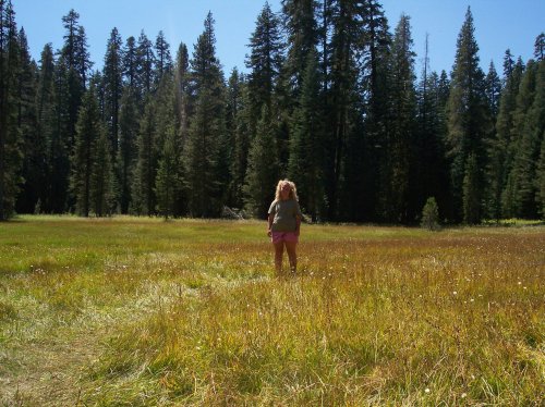 Melissa out standing in her field 