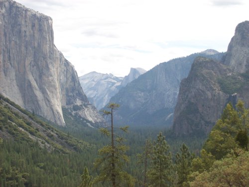 Yosemite Valley from lookout 