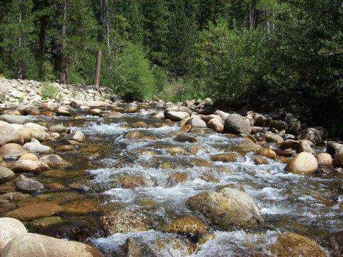Wawona creek 