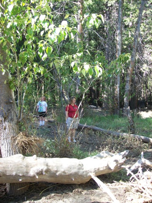 Mom and Missy hiking through woods 