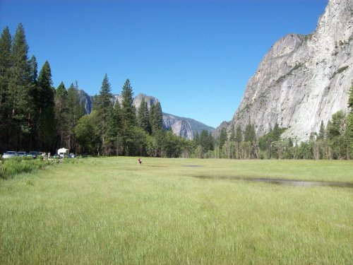 Meadow in Yosemite 