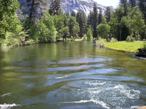 Merced iver 