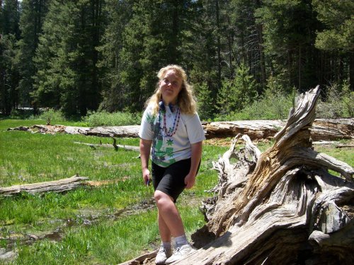 Melissa on log 