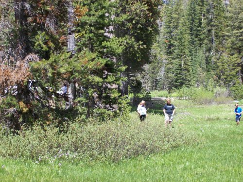 Melissa and mom in meadow 