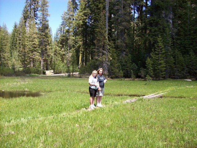 Lori and Melissa on log 