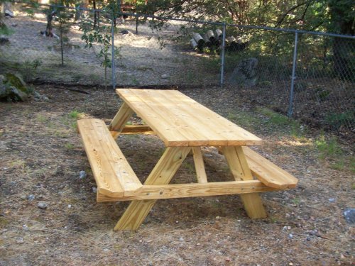 Picnic table in backyard (photo by Missy) 