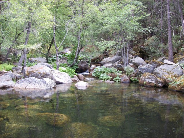 Creek at beginning of flume 