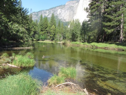 Merced river 