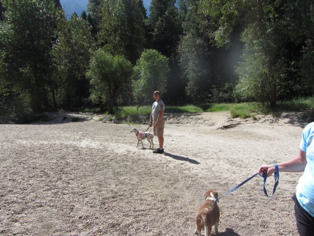 Jonny and Dixie 