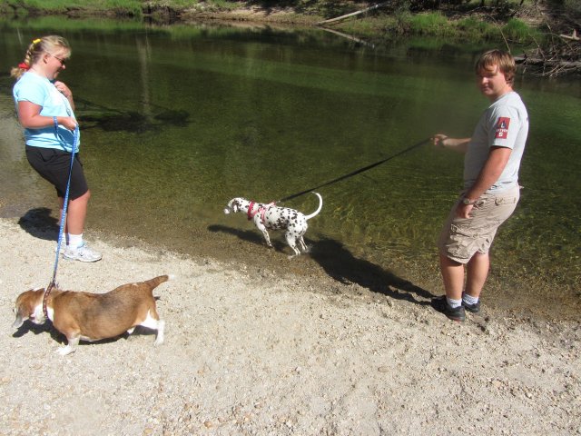 Kids and dogs 