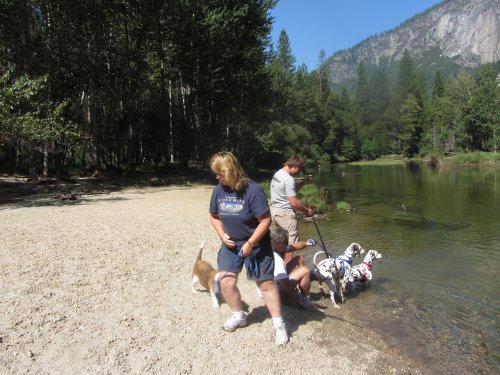 Mom, dad, Jonny and dogs 