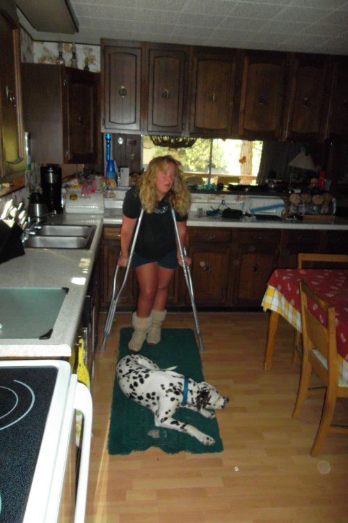   Missy and Lucky hanging out in the kitchen 