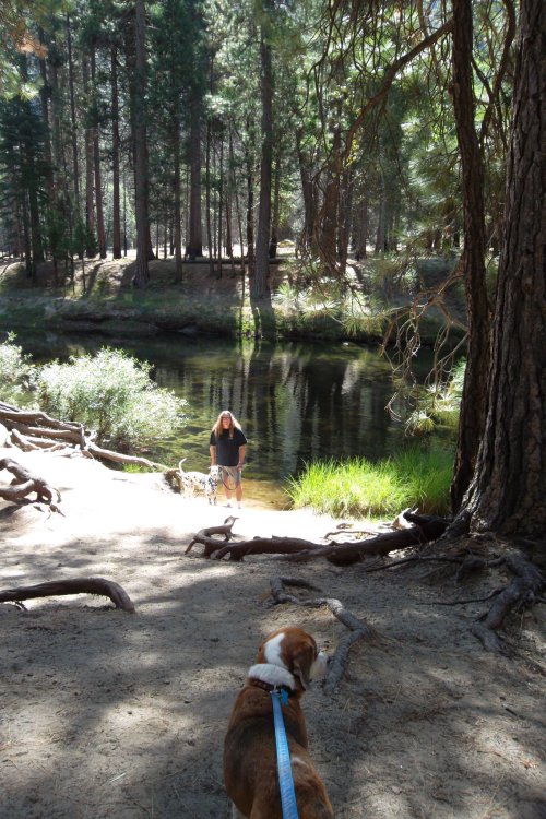 Jon, Lucky and Riley 