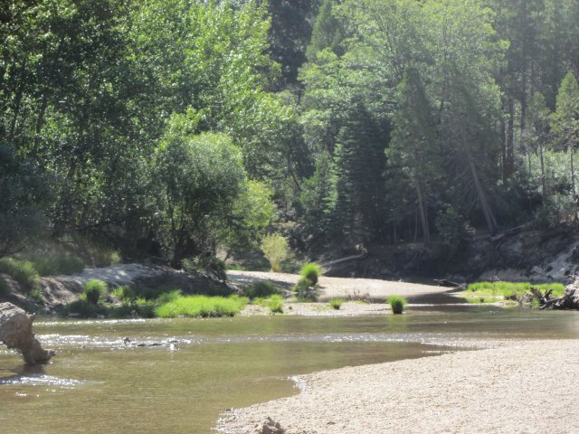 Merced River in Yosemite Valley 