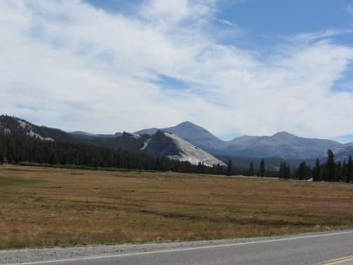 Tuolome Meadow 