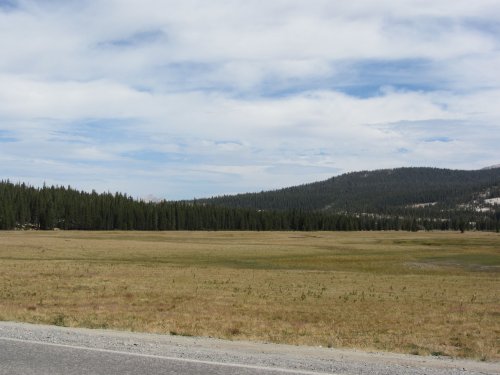 Tuolome Meadow 