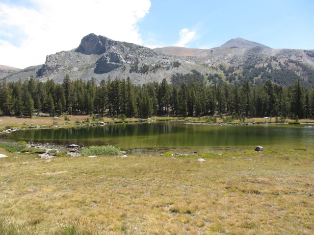 High country at Tioga pass 