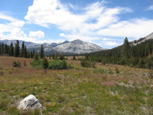 High country at Tioga pass 