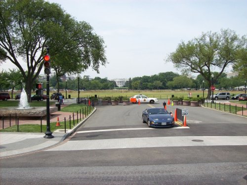 White House 