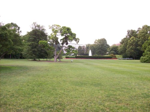 The White House 