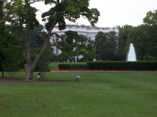 The White House 